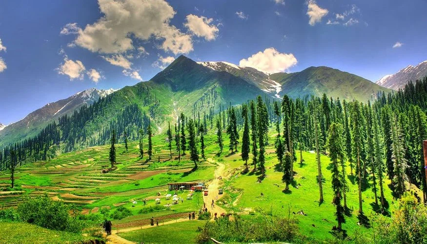 lalazar meadows naran