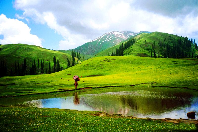 Shogran Valley Travel Guide 2025 – Explore Siri Paye Meadows